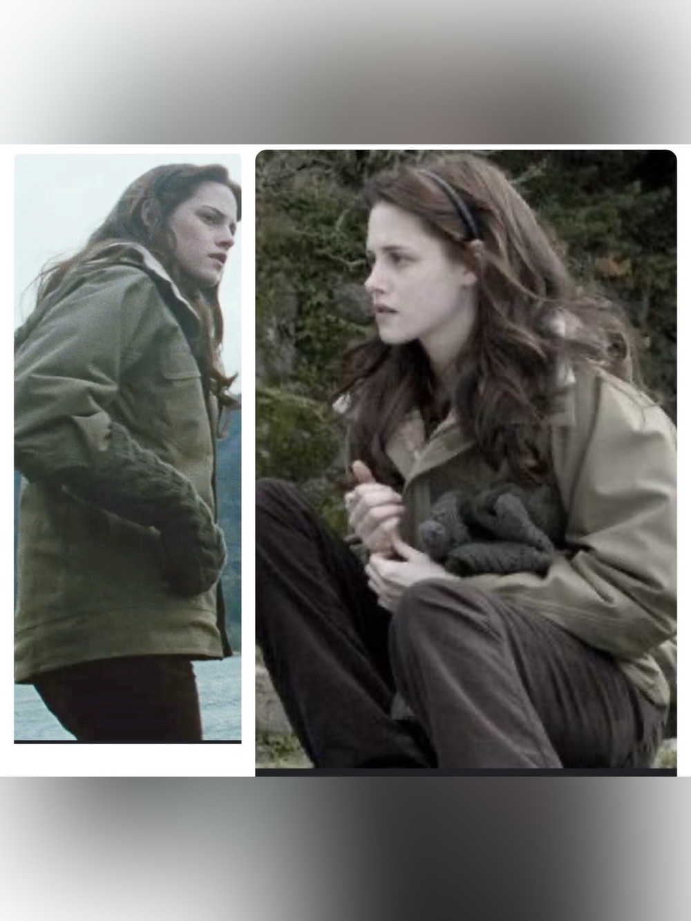 Twilight Bella Swan Patagonia Rubicon Jacket Baseball Scene Brown Size Medium - Picture 14 of 15